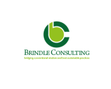 /public/logoimage/1321662120brindle consulting-02.png